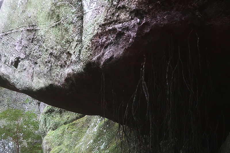 CQSがオフの状態。画面を写真に撮った状態なので分かりにくいが、CQSオン(右)と比較するとなんとなく暗所がぼやけているのがお分かりいただけるだろうか