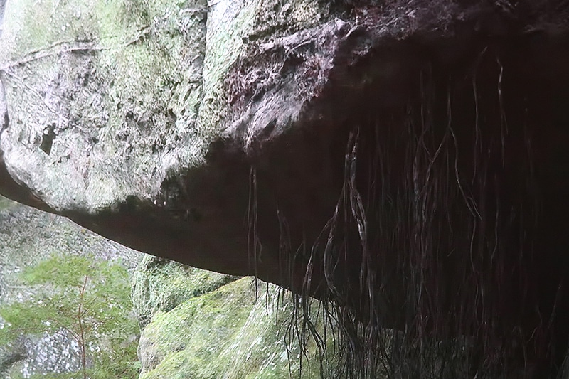 CQSがオフの状態。画面を写真に撮った状態なので分かりにくいが、CQSオン(右)と比較するとなんとなく暗所がぼやけているのがお分かりいただけるだろうか