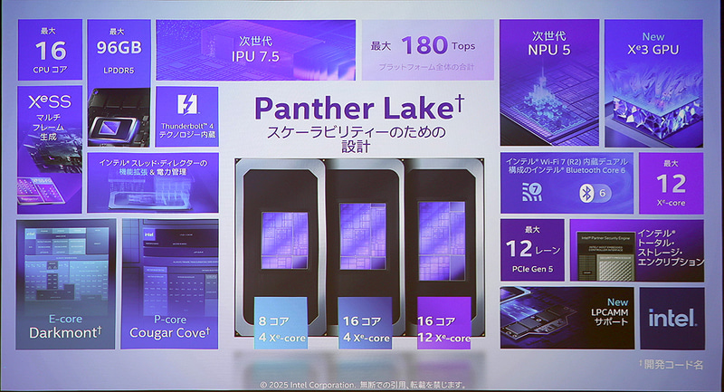 Panther Lakeの概要