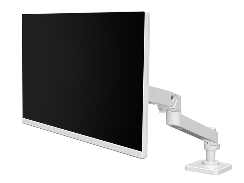 ホワイトモデル