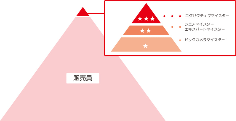 ビックマイスター制度の仕組み