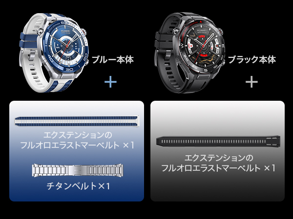 ブルーとブラックそれぞれ異なるバンドが付属する