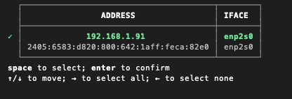 ここではIPv4アドレスを選択した