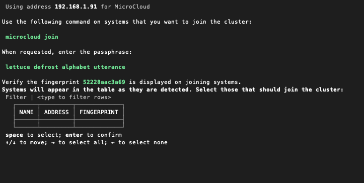クラスタ参加に必要となるパスフレーズを控える。これは次の手順で、参加メンバー側に入力する