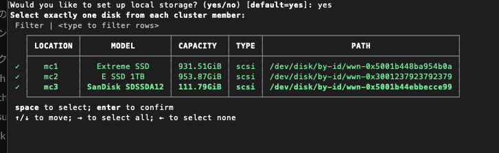 ローカルストレージとして構成するストレージを選択する