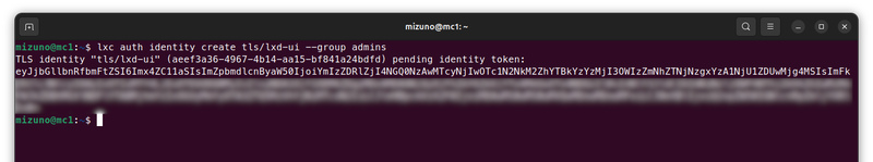 コマンドラインからトークンを取得する