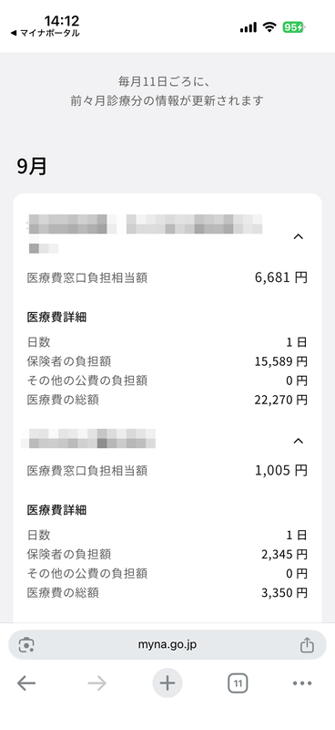 詳細では具体的な病院名とその際の支払った金額を確認できる
