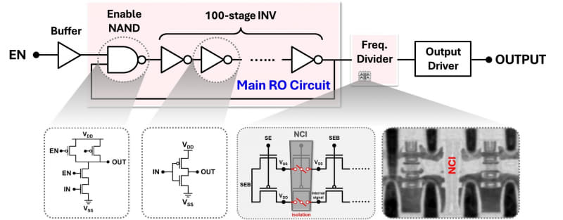 TSMCがCFET技術で試作したリング発振器の回路図(講演番号2-5)。右下の画像はCFET回路の断面を電子顕微鏡で観察した画像。画像中に「NCI(Nanosheet Cut Isolation)」とあるのは隣接するCFETの素子分離領域。IEDMの実行委員会が報道機関向けに配布した資料から