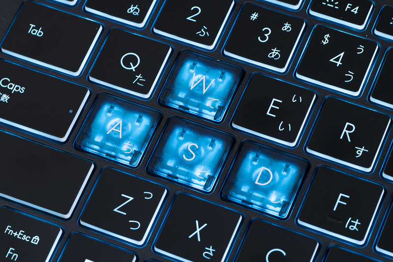 W/A/S/Dキーと矢印キーが半透明になっているのはゲーミングらしい部分