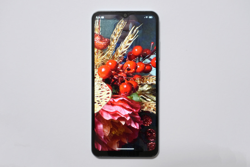 1万円台スマホだが意外に鮮やかに画像を表示できる