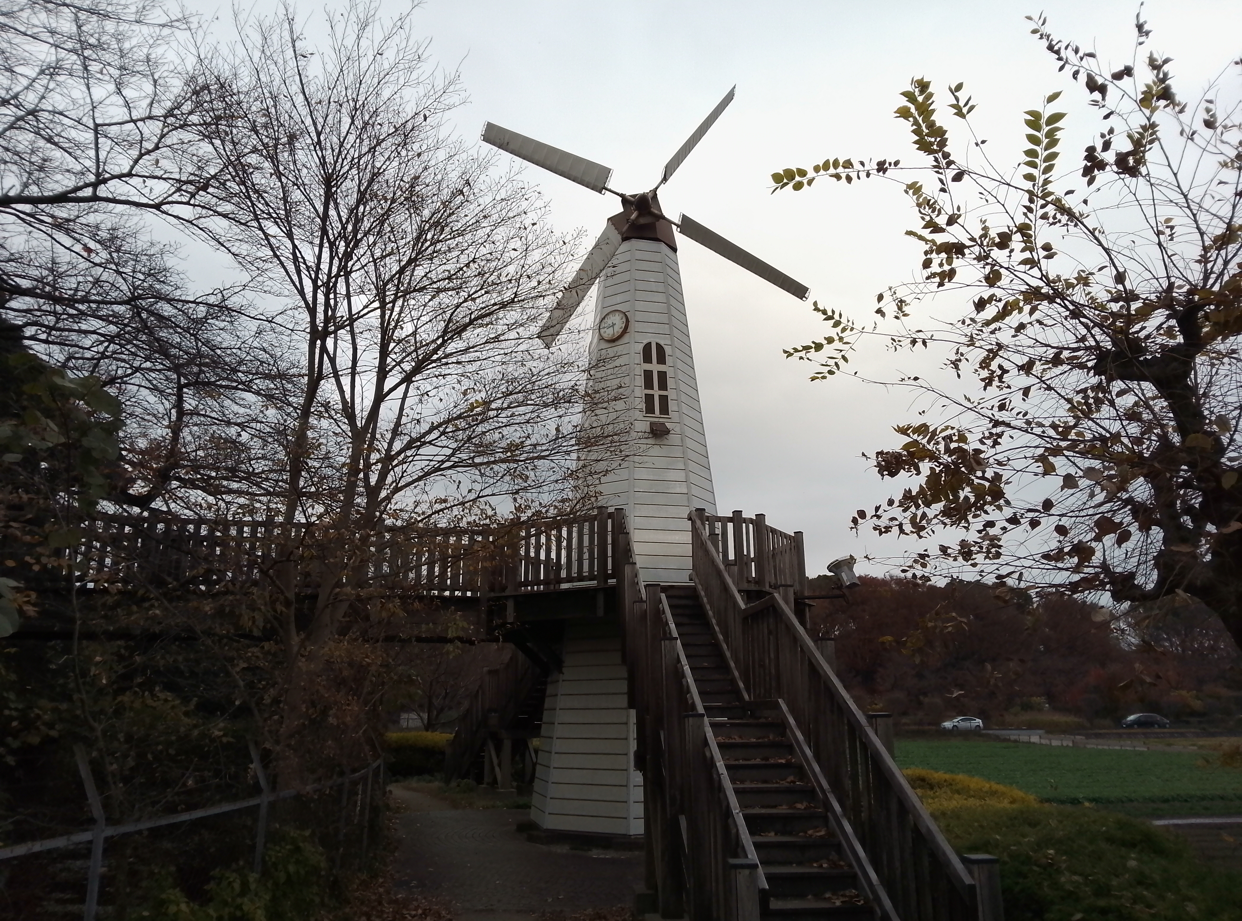 メインカメラで撮影