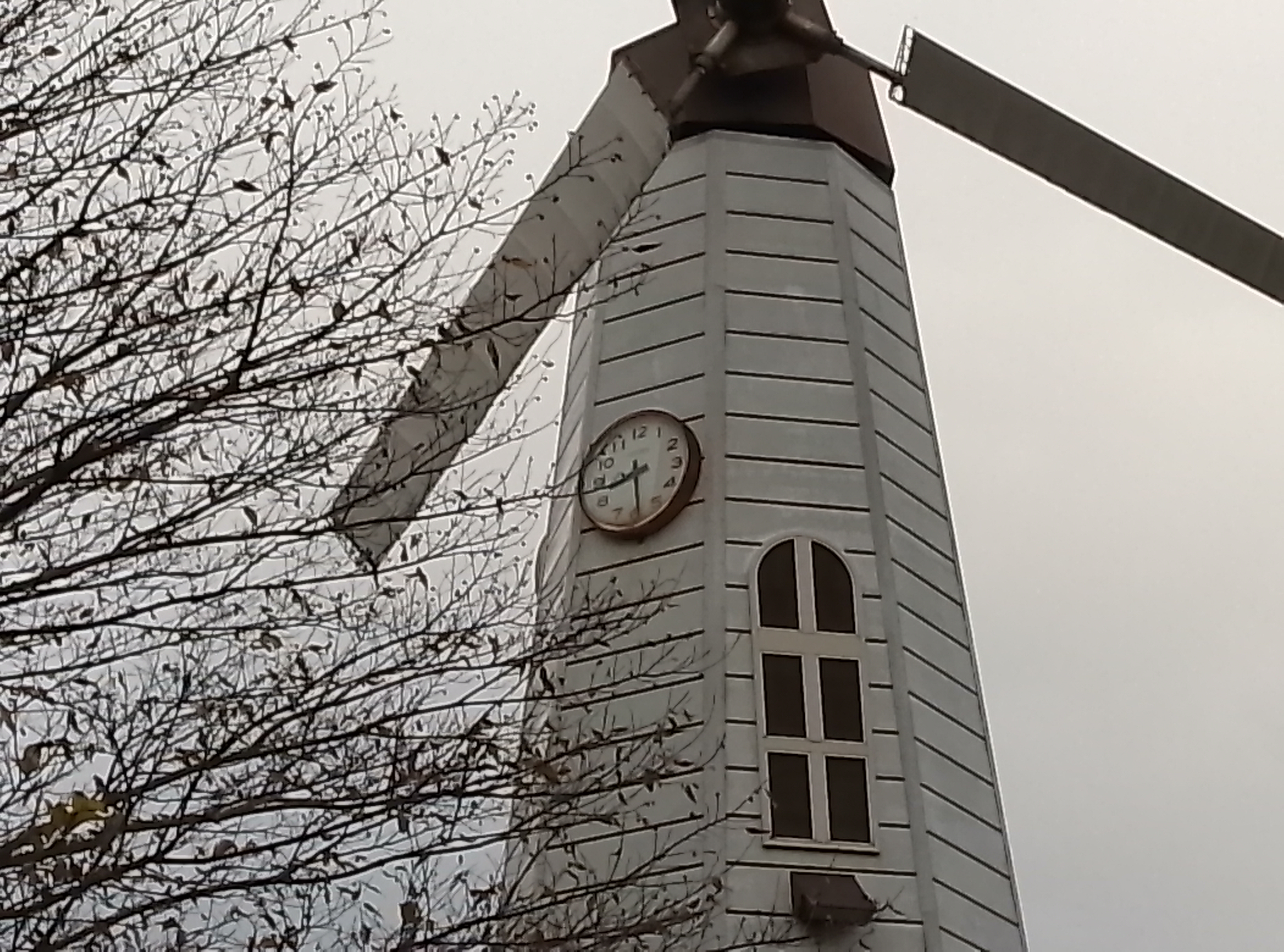 メインカメラ(4倍デジタルズーム)で撮影