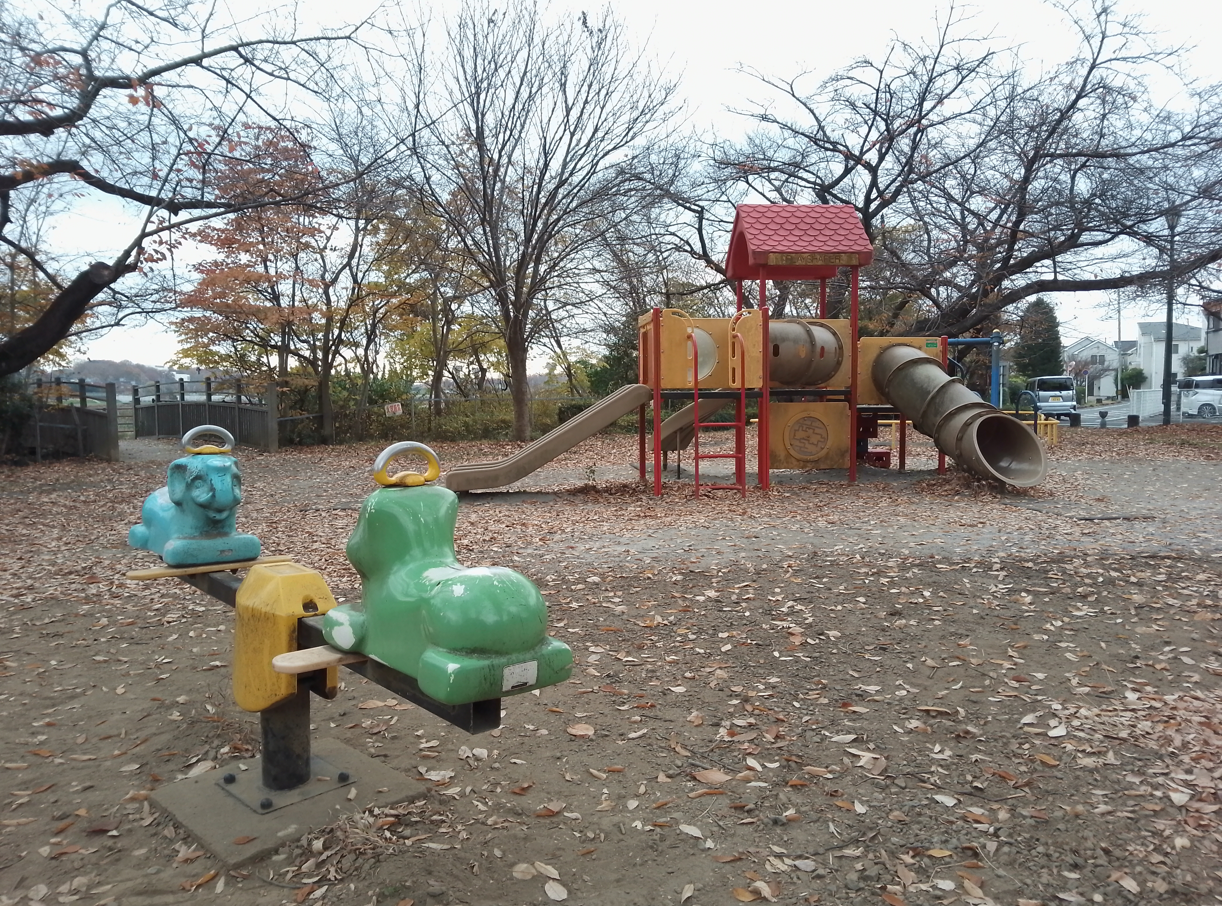 メインカメラで撮影