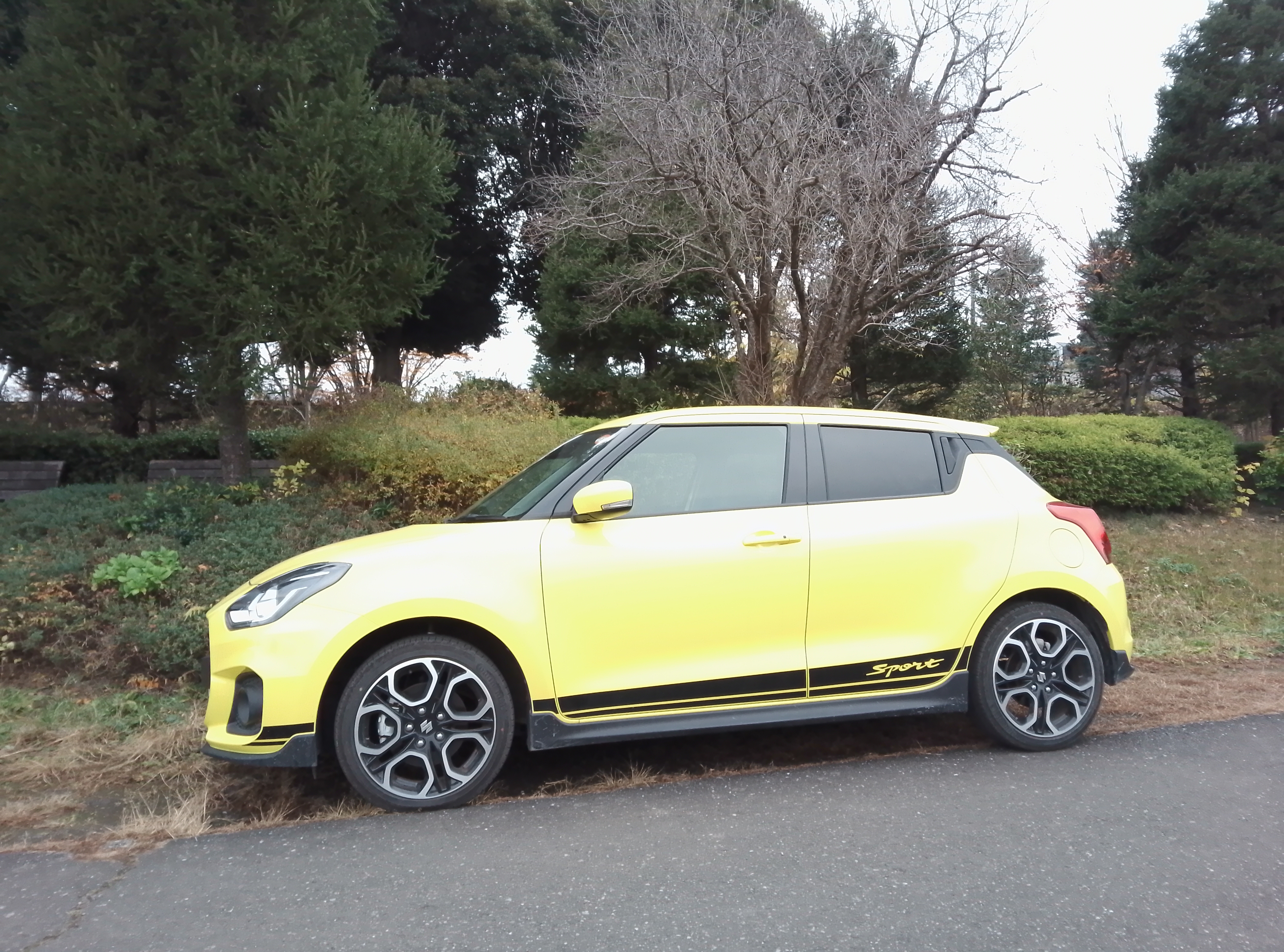 メインカメラで撮影