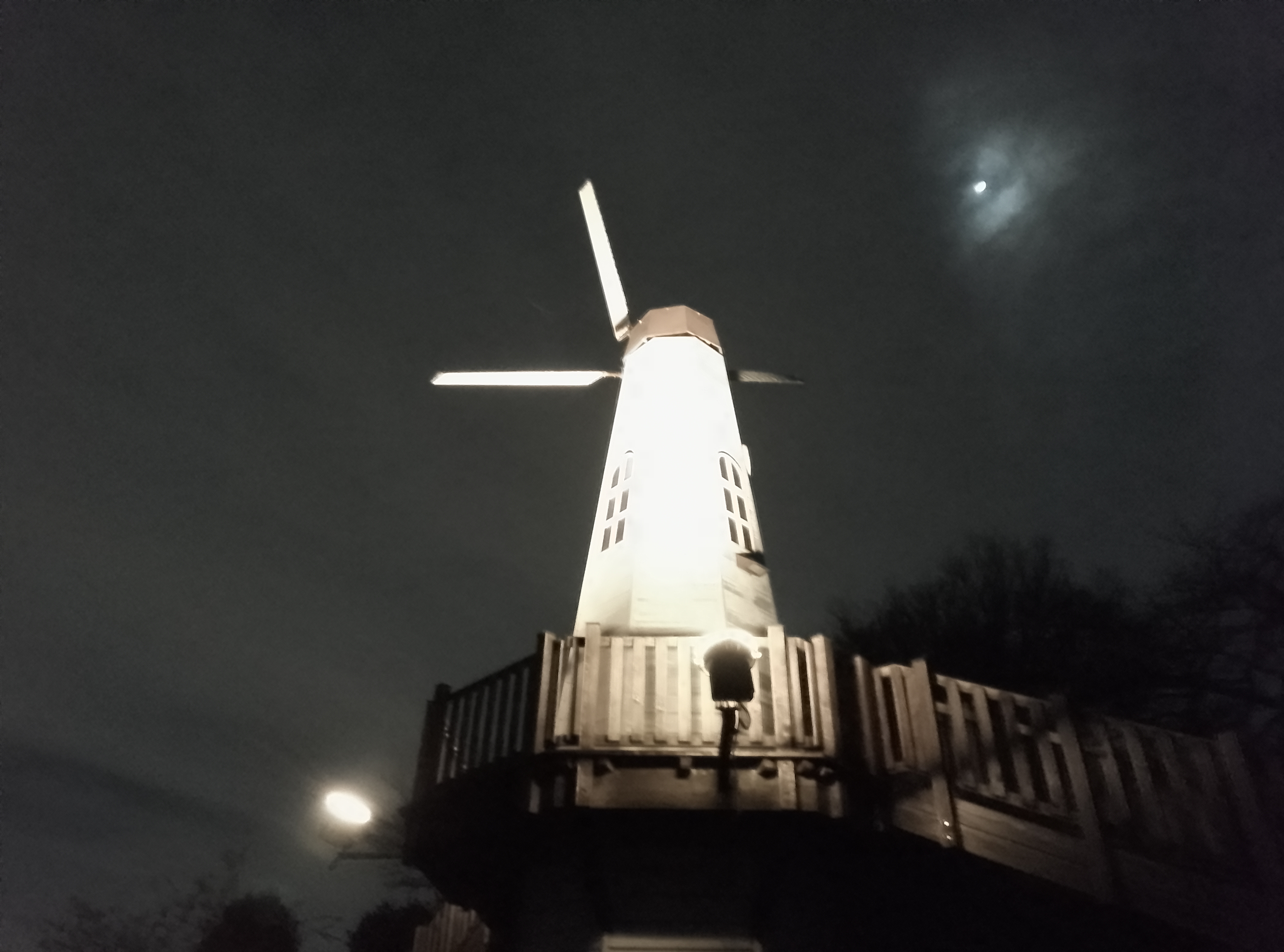 メインカメラ(Nightモード)で撮影