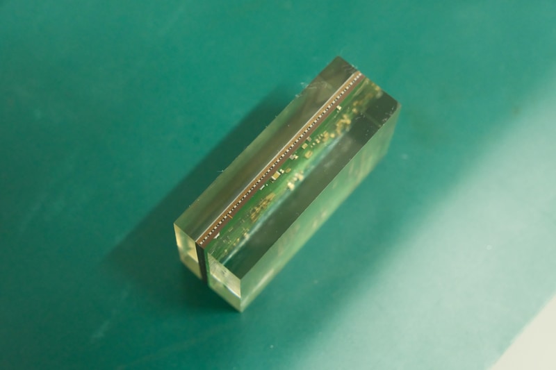 実際には顕微鏡などで見るが、肉眼でも断面が確認できる