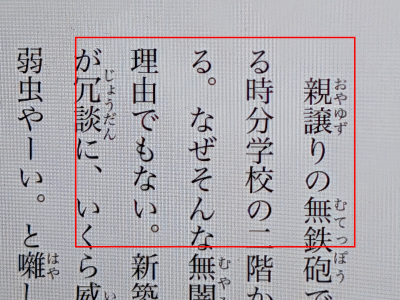 電子書籍の本文の一部。数m離れたところから赤枠の部分をデジタルズームの最大値で撮影すると……