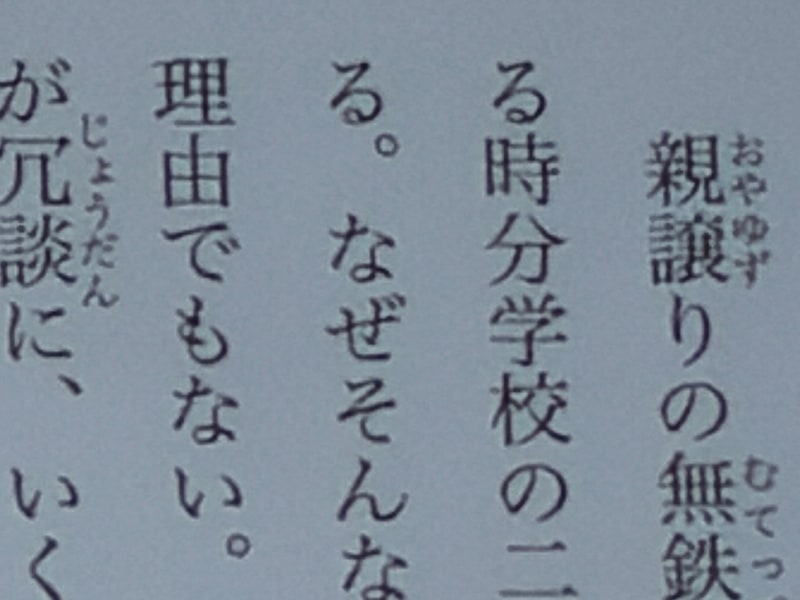 iPhone(40倍)で撮影。デジタルズームによくありがちなボケ加減だ