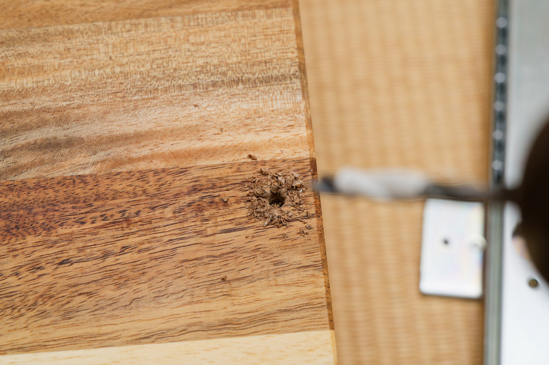 電動ドリルで板に下穴を開け……