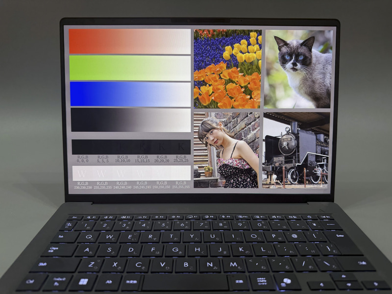 14型(1,920×1,200ドット)の有機ELディスプレイは縦横比が16:10なので縦に長くオフィスアプリの作業やWeb閲覧に適している。写真では分かりづらいが、色域が広く、色の再現性もよい。人肌や猫の毛並みもきちんと描写する