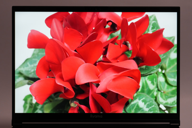 ディスプレイの発色はニュートラル