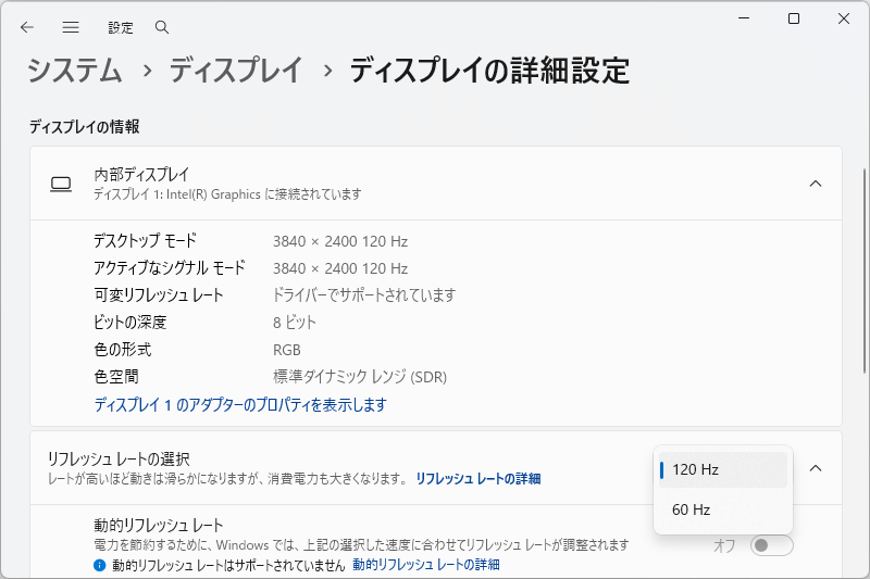 Intel Graphics(iGPU)接続時。最大解像度かつ120Hz駆動が可能で、ドライバ側で可変リフレッシュレートが利用可能