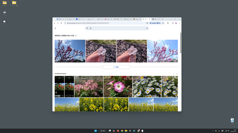 F11の全画面表示も便利。画像一覧を表示するとして、通常サイズだとこんな感じ