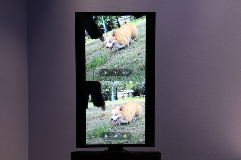 水平ロック機能により、本体の傾きによる画角の変化を自動で補正する