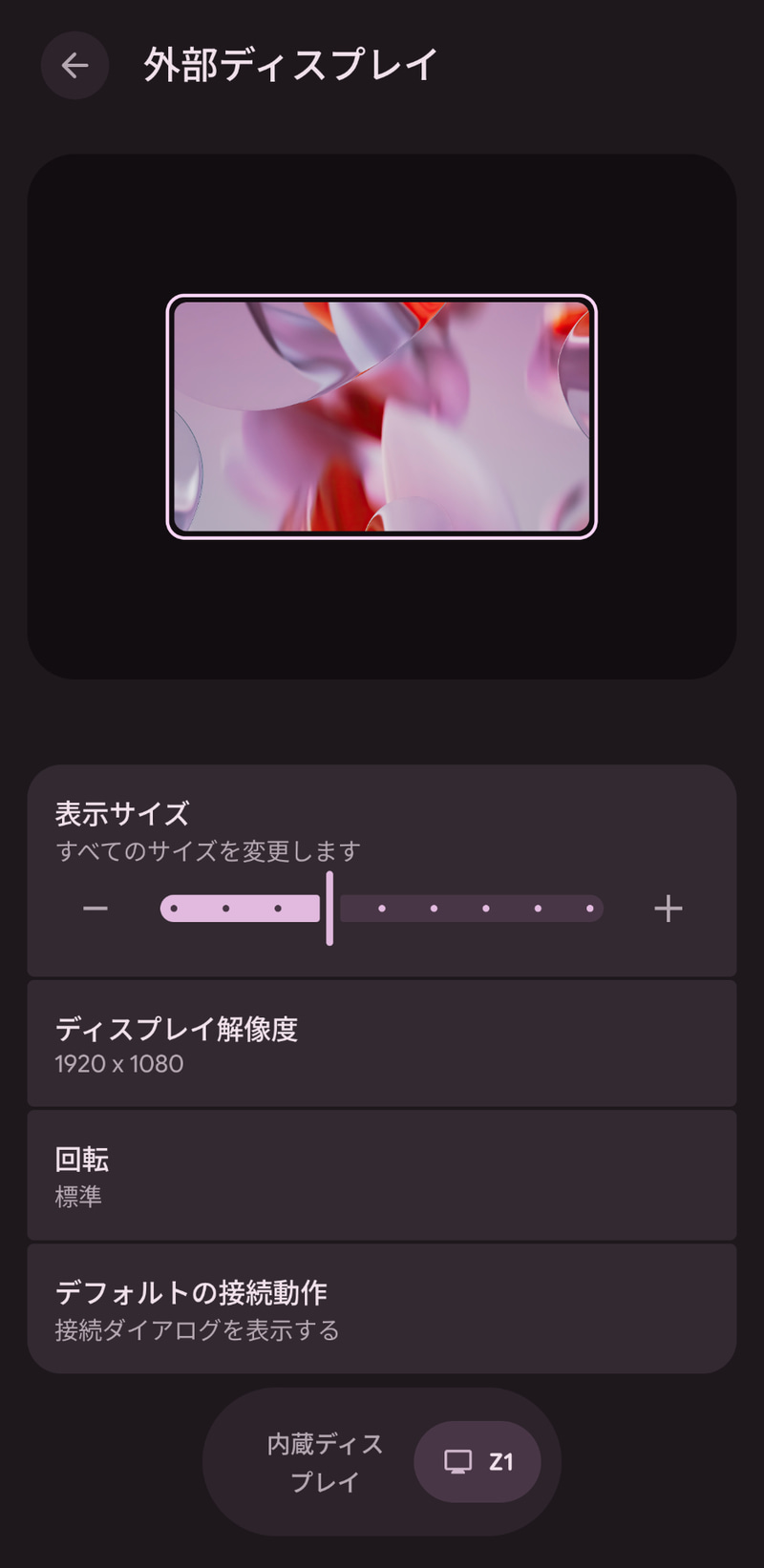 表示サイズや解像度の設定も可能
