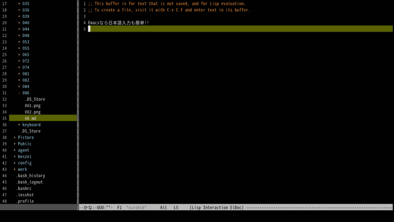 コンソールでも日本語入力ができる。そう、Emacsならね