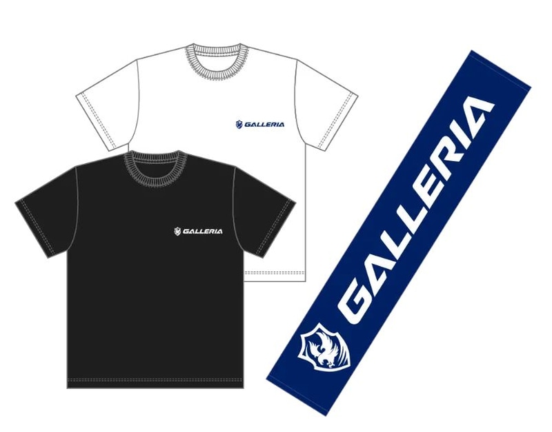 オリジナルTシャツとタオルのセット