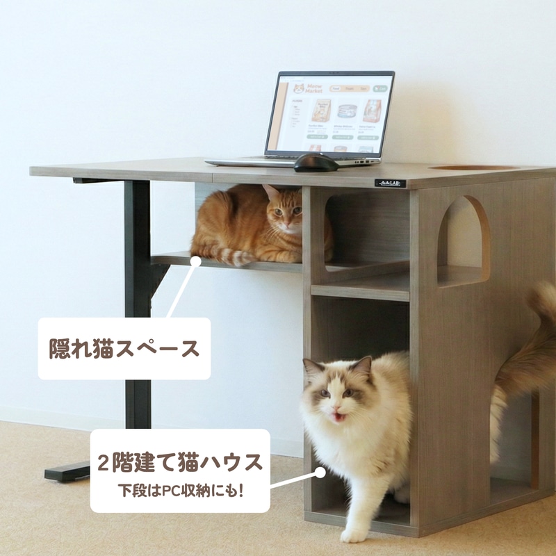 猫を誘導する4つの「にゃんギミック」