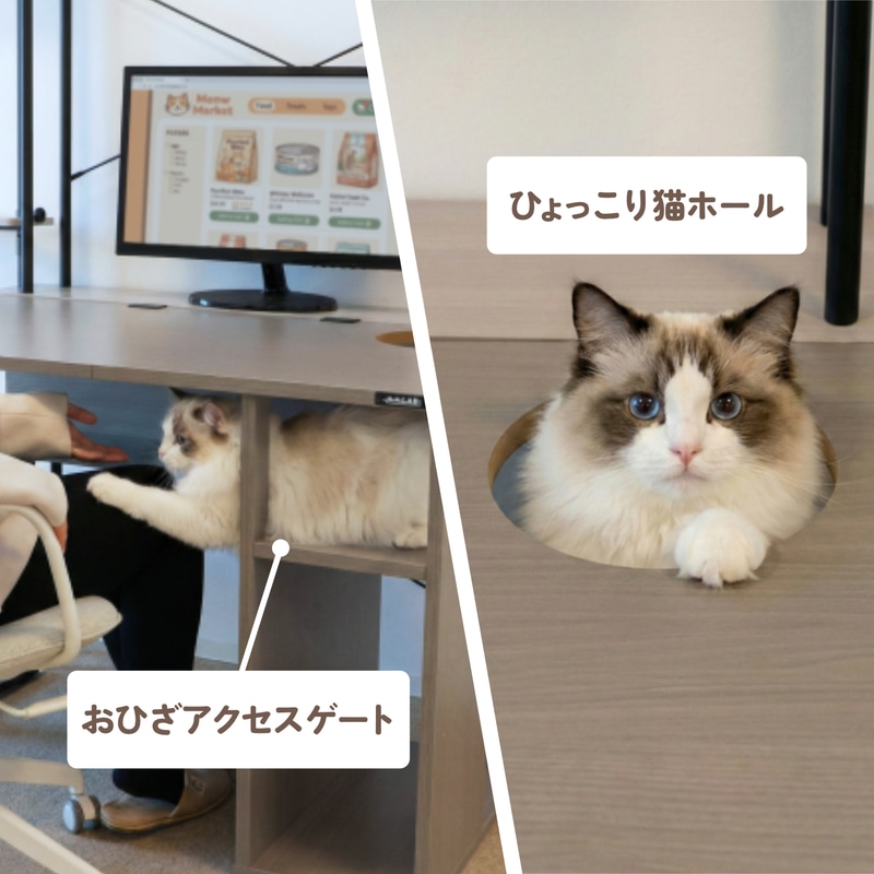 猫を誘導する4つの「にゃんギミック」
