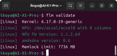 flm validateコマンドを実行したところ