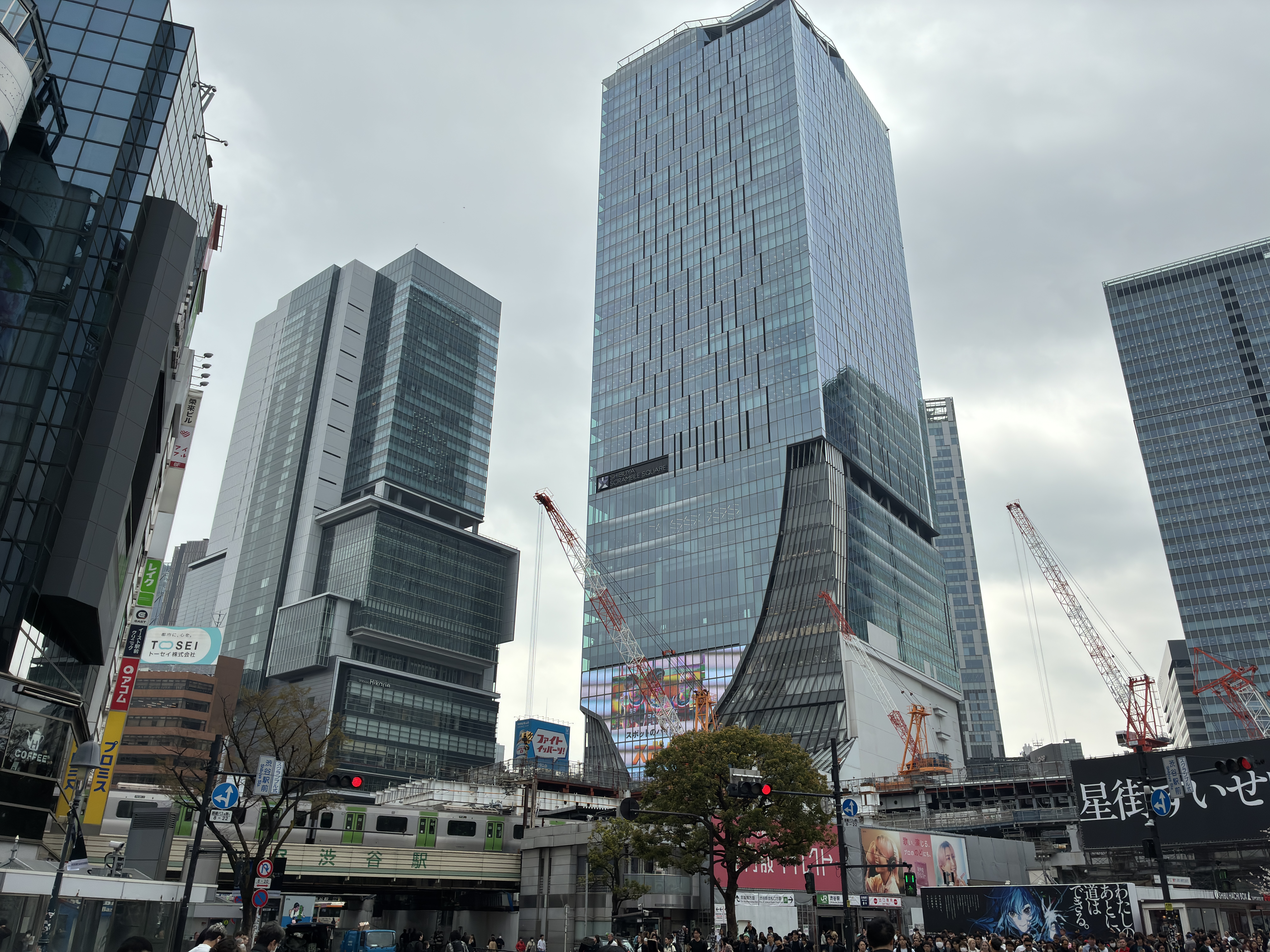 48MPモードの1倍で撮影