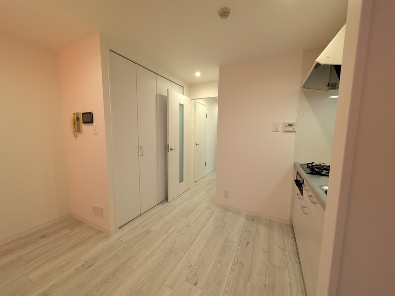 部屋から玄関方向の眺めはこんな感じで、至って普通のワンルームだが……