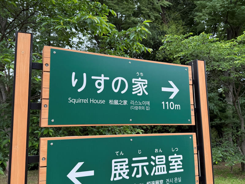1倍で撮影した写真