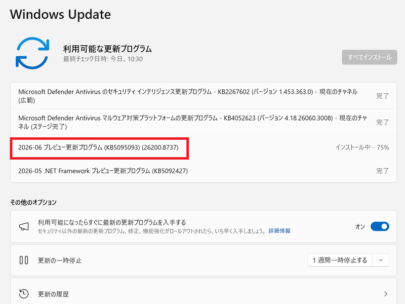 2026-06 プレビュー更新プログラム(KB5095093)がインストールされていれば有効になる