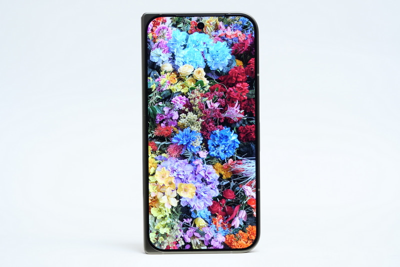 発色や明暗のメリハリは申し分なく、直射日光下での視認性もPixel 11 Proシリーズ同等だった