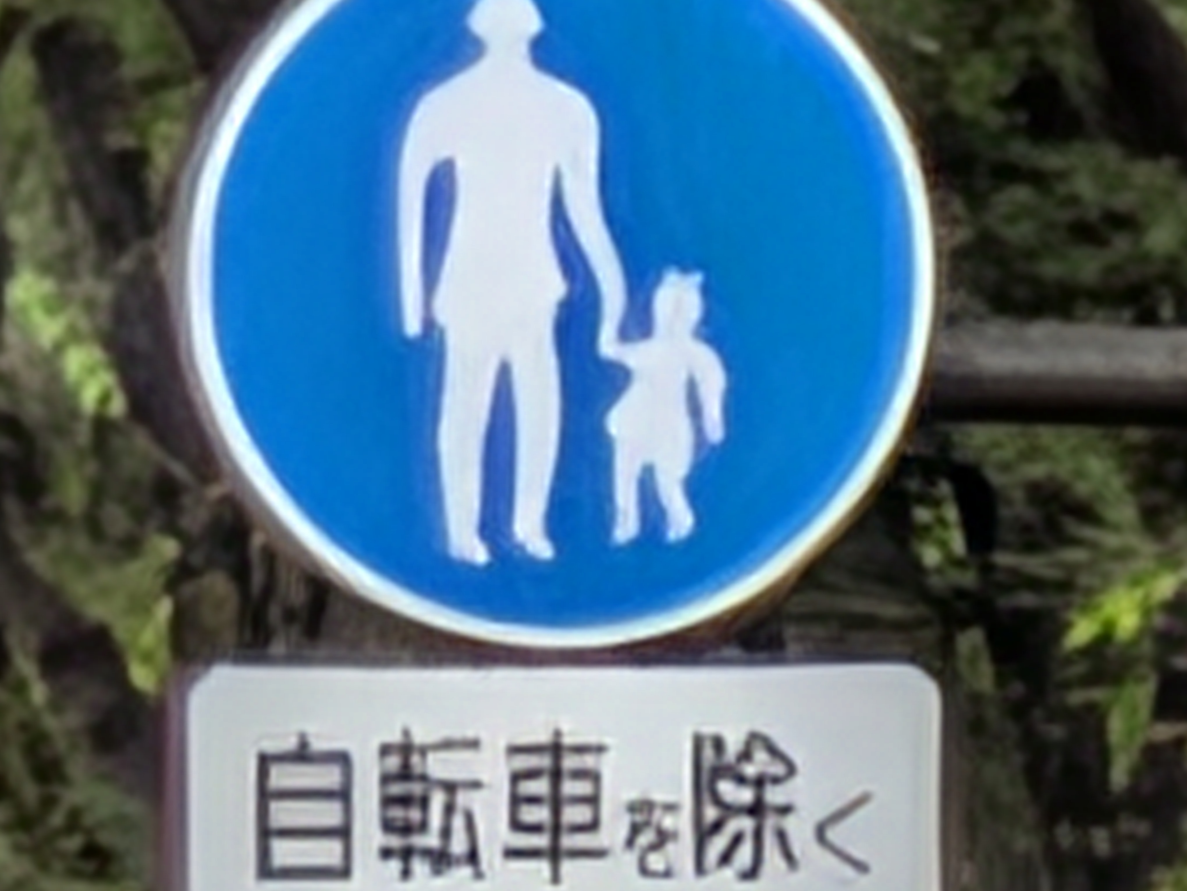 超解像ズームPro処理前