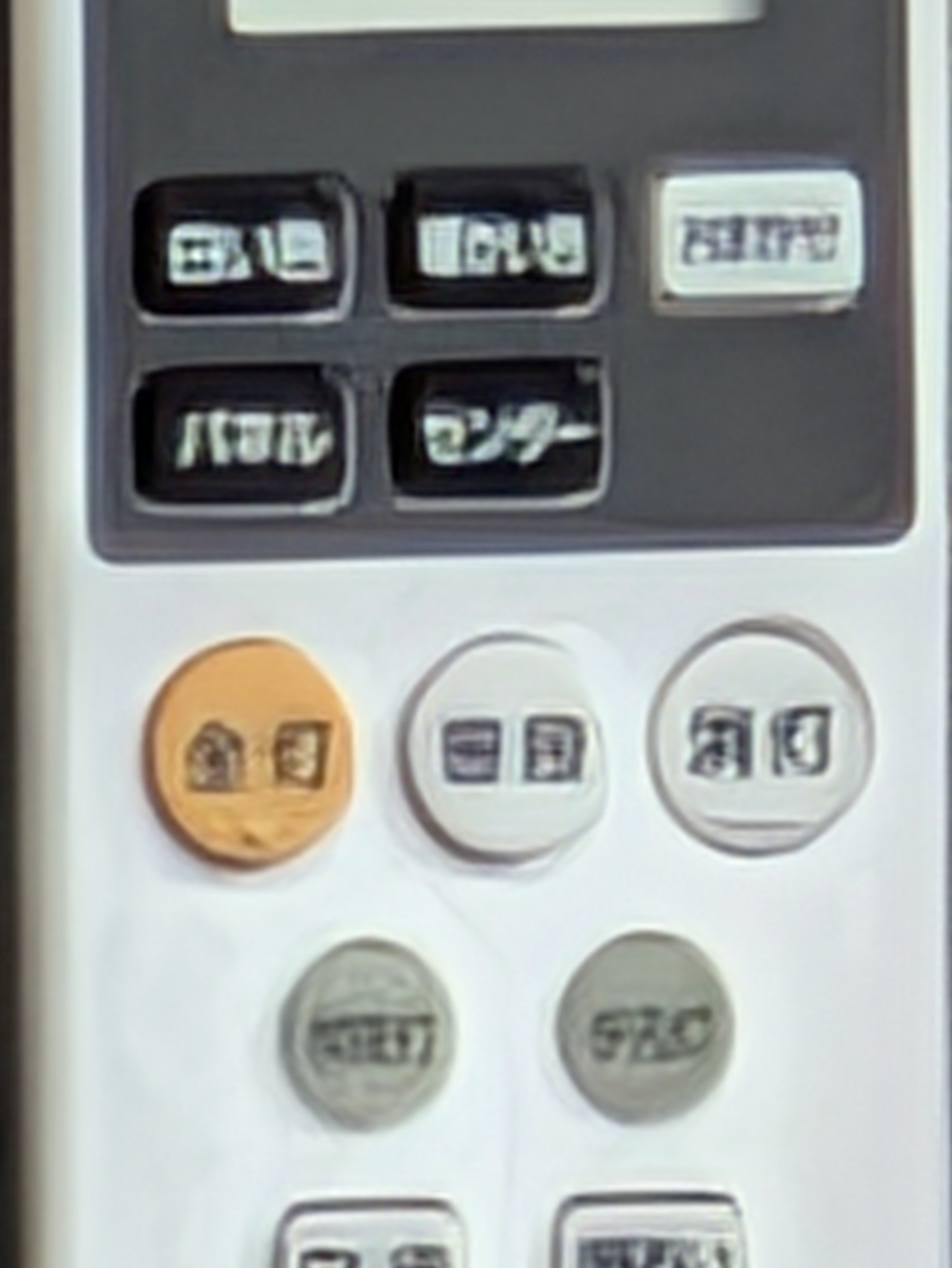 超解像ズームPro処理前