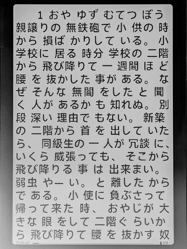 これで漢字も表示できるようになった。ただルビは解釈されず地の文と混じって表示されてしまう