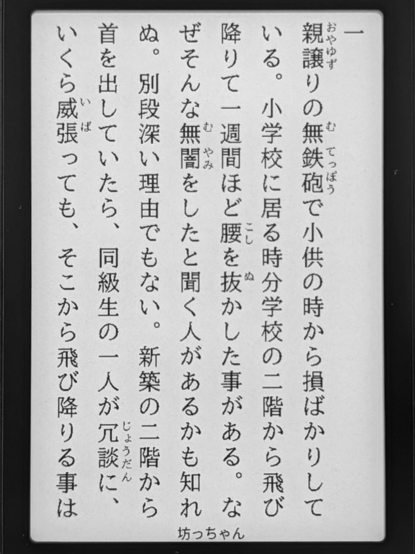 日本語フォントの適用で縦書き対応、さらにルビも表示可能になる。純正とは雲泥の差だ