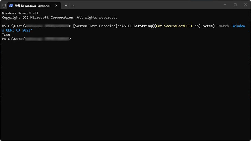 PowerShellでの確認結果の例