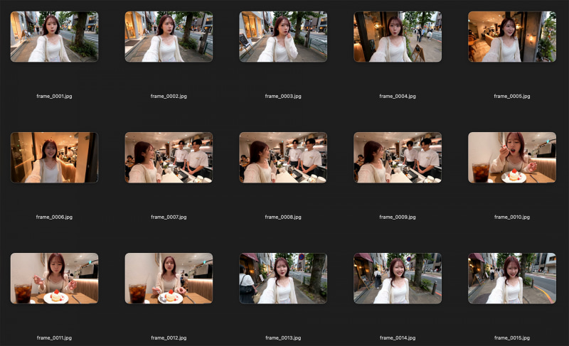 1.0fpsで元動画から切り出した15枚