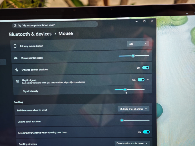 Surface Mouseの「Haptic Signals」はWindows設定の「Mouse」の項目に用意されている