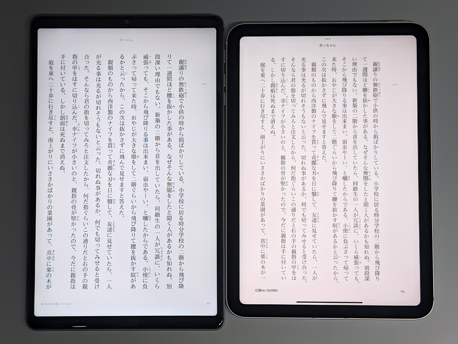 iPad mini(右)との比較。アスペクト比16:10なのでiPad miniより幅がスリムだ