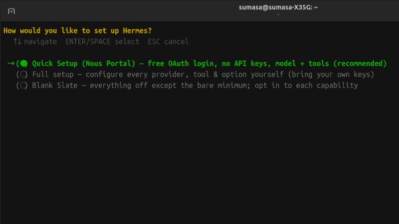 とりあえず最初はQuick SetupでNous Portalをセットアップした方が楽だろう。後からプロバイダーなどの追加は可能なので安心してほしい