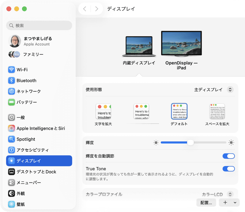 [Display Layout]欄の[Arrange Displays]をクリックすると、「システム設定」の[ディスプレイ]が開きます。通常の外部ディスプレイと同様に、配置や解像度を調整できます