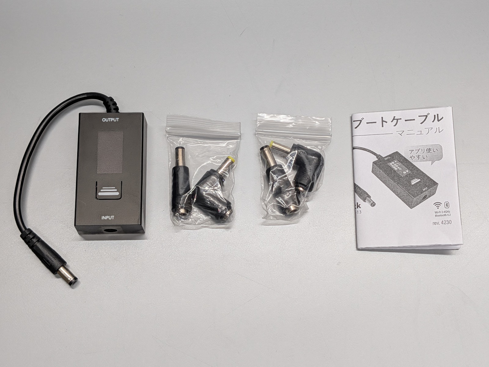 同梱品一覧。径が異なる交換用プラグ2種類も付属している